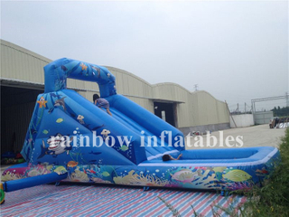 Small Outdoor Inflatable Undersea Theme Water Slide For Kids