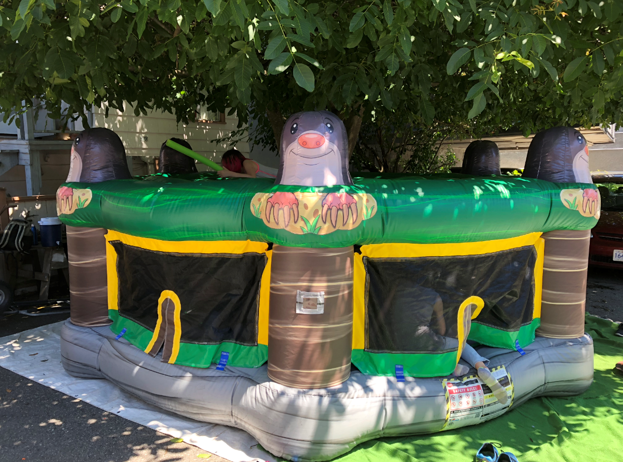 Inflatable Whack a Mole Inflatable