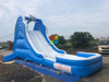 Factory Cheap Dophin Water Slide for Rentals