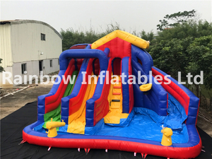 Best Quality Backyard Inflatable Water Slide with Pool for Kids