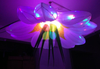Festival Inflatable Decoration LED Flower for Advertising