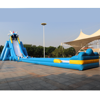 inflatable Hippo water slide