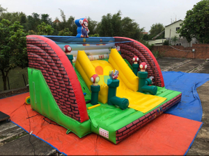  Inflatable Mario Slide Bouncer