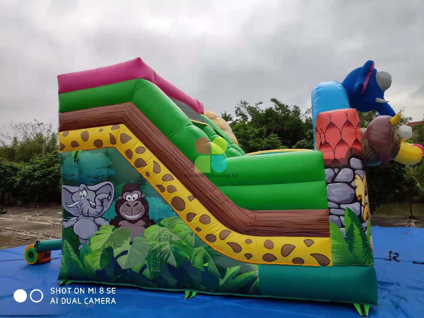 Inflatable Jungle Animal Zoo