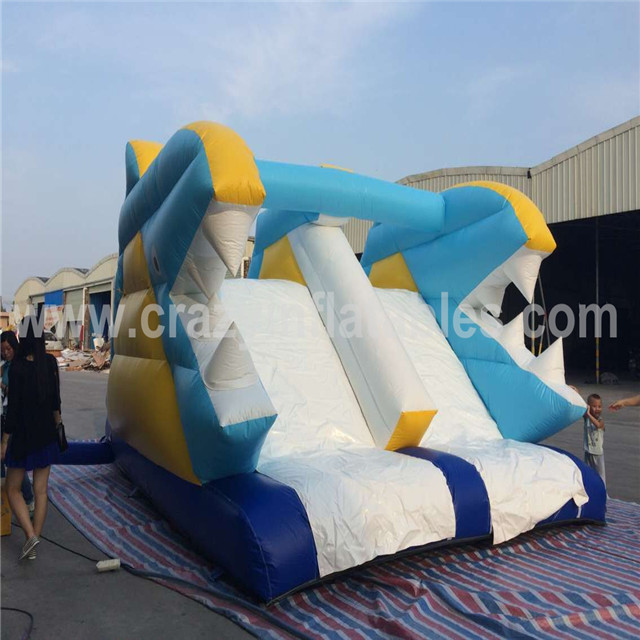 Funny Small Inflatable Water Slide for Toddlers