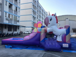 Pony Outdoor Commercial Inflatable Water Slide with Pool for Kids