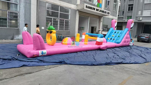 Inflatable Flamingo Obstacle Pool Tracks