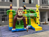 Animal Jungle Paradise Funcity