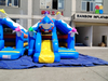 Inflatable dolphin theme bouncer