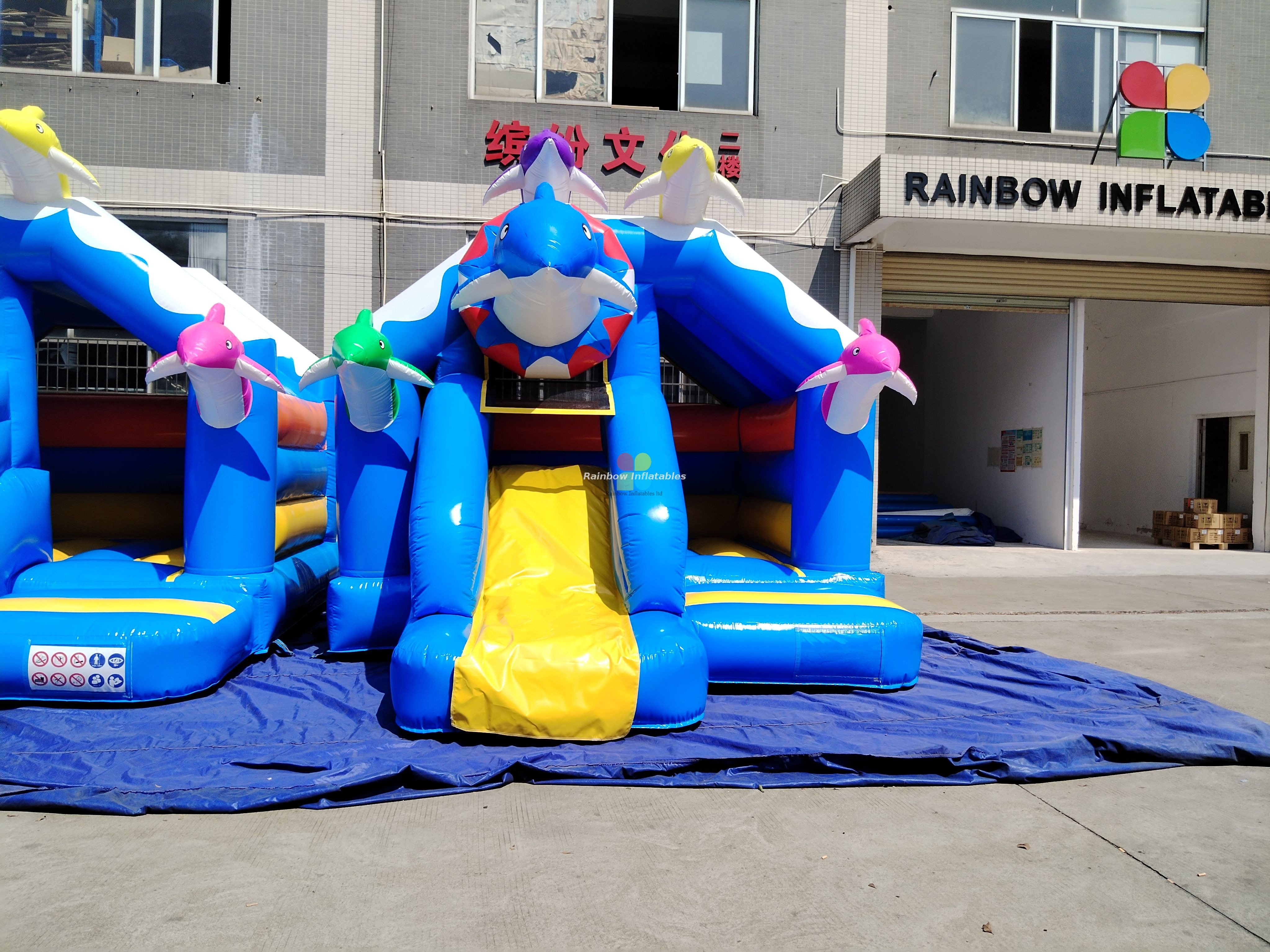 Inflatable dolphin theme bouncer