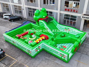 Professional Custom Inflatable Toy Manufacturer Frog park