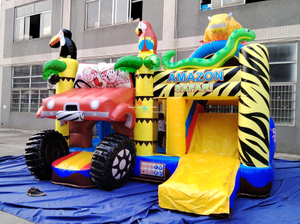 Multiplay Amazon Funcity