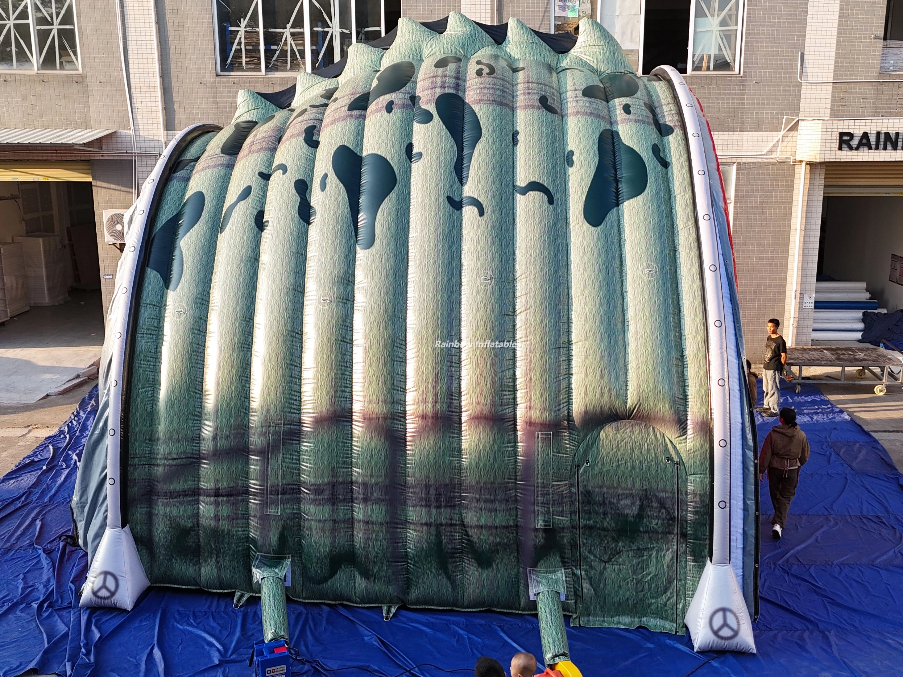  Inflatable crocodile Maze