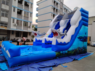 Sharks Slide