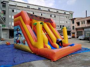 Rainbow Inflatable Tom and Jake Theme Water Slide with Pool 