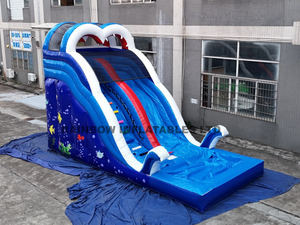 High Quality Commercial Inflatable Crazy Wave Theme Water Slide with Pool